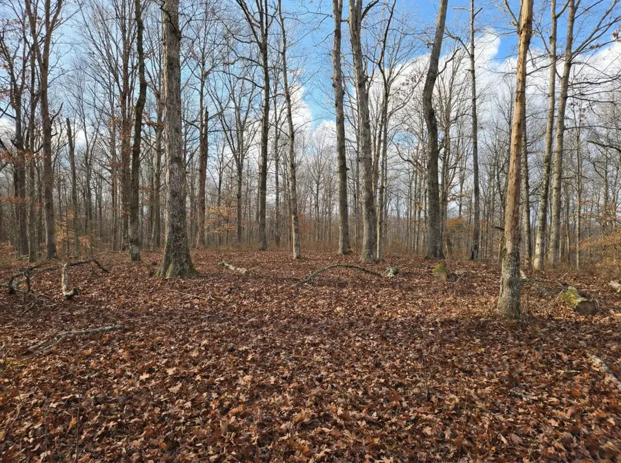 0 Havenwood Rd, Mc Ewen, TN 37101 - Image #3