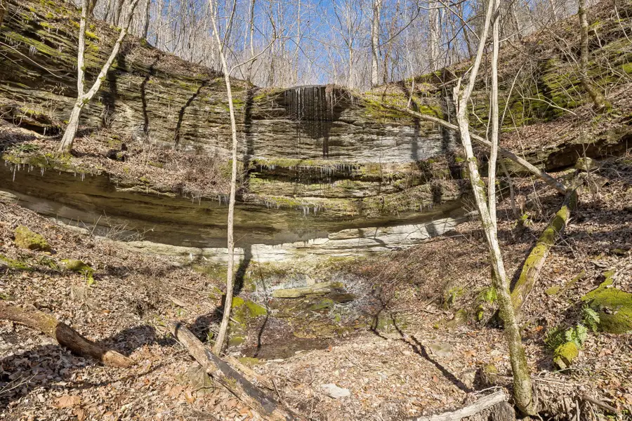 0 Hurricane Creek Road, Linden, TN 37096 - Image #2