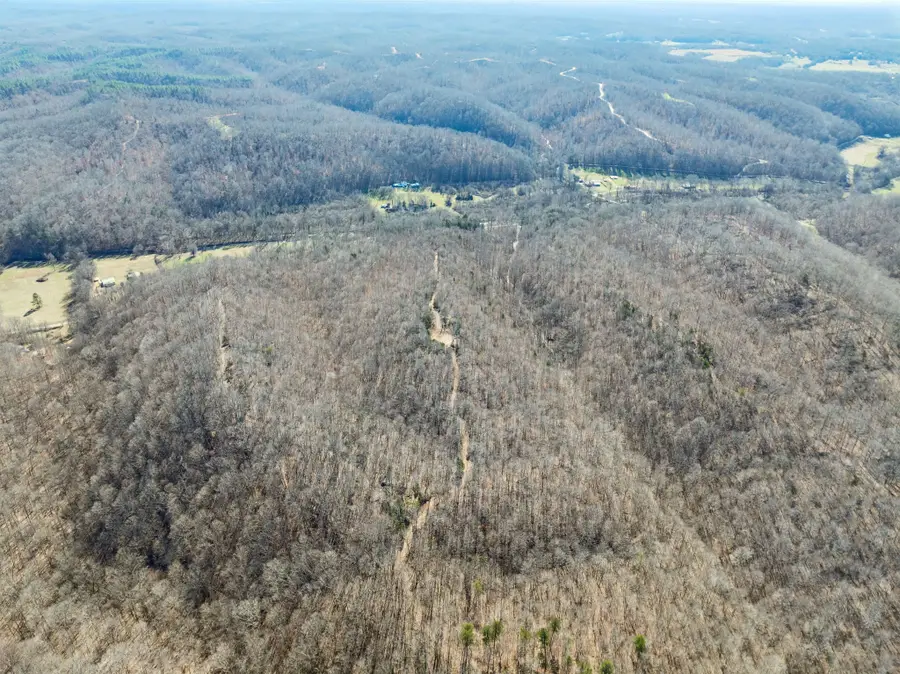 0 Hurricane Creek Road, Linden, TN 37096 - Image #2