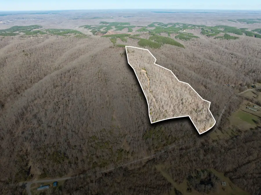 0 Hurricane Creek Road, Linden, TN 37096 - Image #3