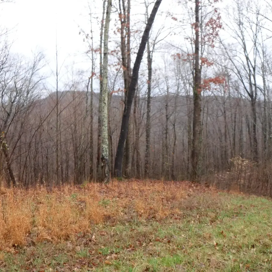 0 Cheyenne Drive, Jamestown, TN 38556 - Image #2