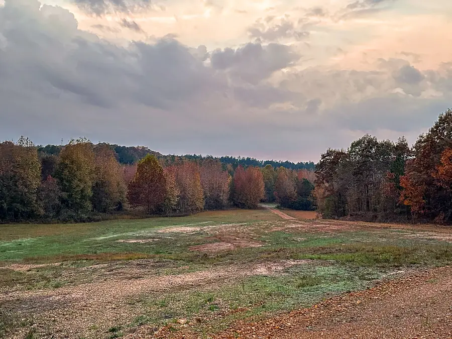 0 Hines Gin Road, Selmer, TN 38375 - Image #3