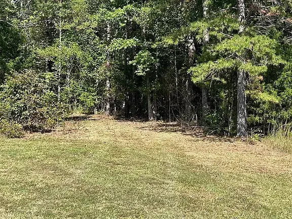 9100 Urubamba Dr, Lyles, TN 37098 - Image #2