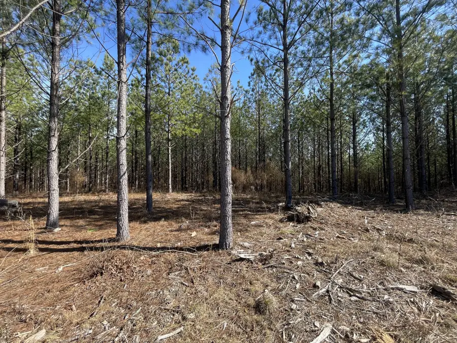 84 Ridgewood Dr, Linden, TN 37096 - Image #3