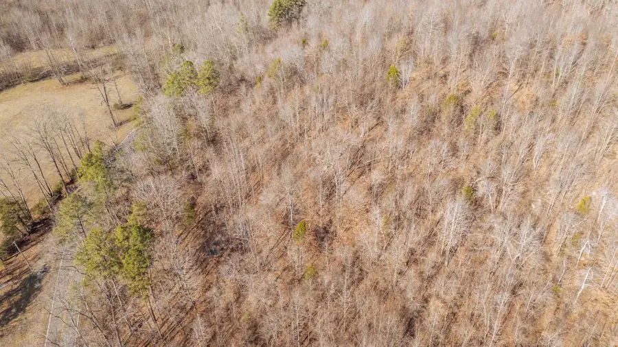 3310 Holland Creek Rd, Savannah, TN 38372 - #3