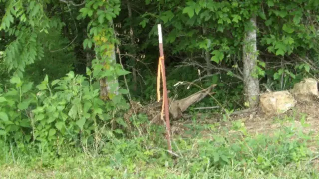 0 Livingston Hwy, Byrdstown, TN 38549 - Image #2