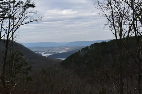 0 Birds Eye Way, Guild, TN 37340