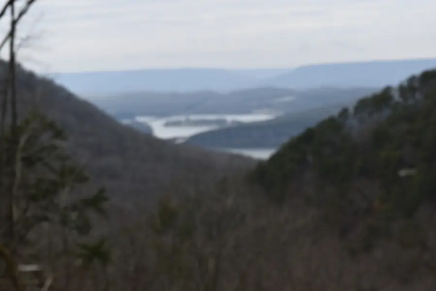 0 Birds Eye Way, Guild, TN 37340 - Image #2