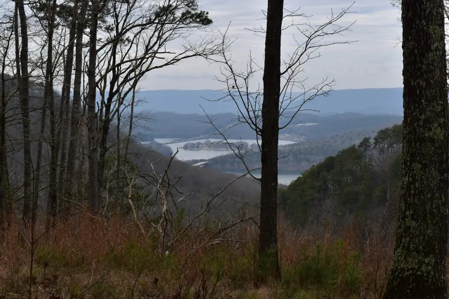 0 Birds Eye Way, Guild, TN 37340 - Image #3