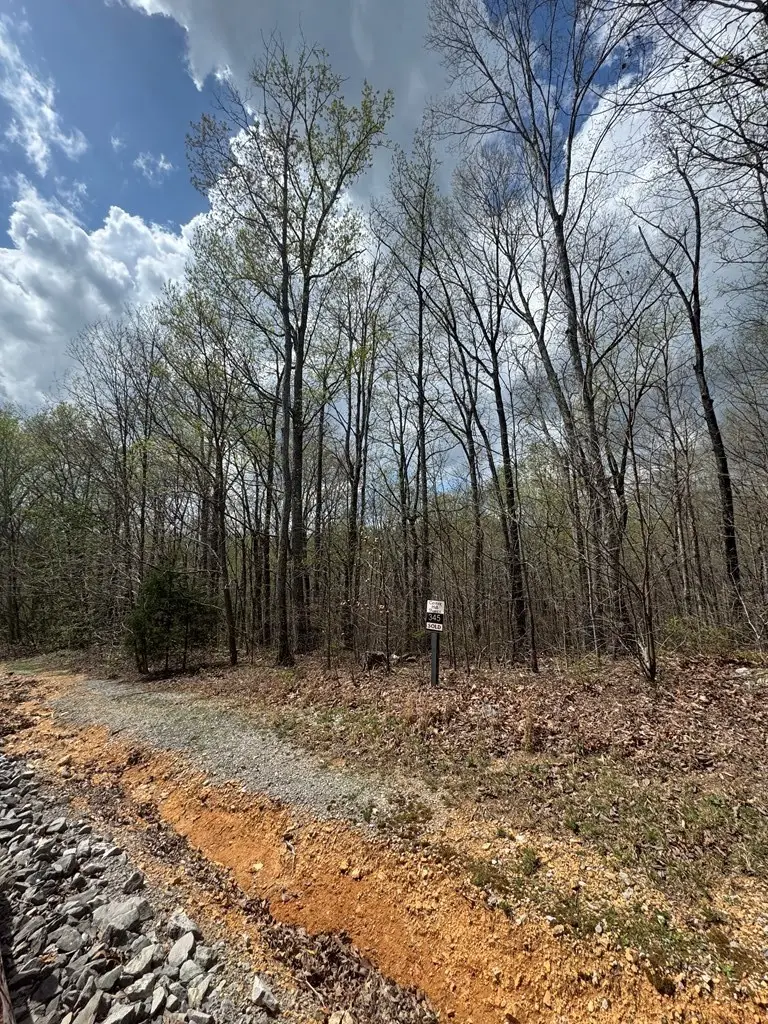 345 Drew Court, Smithville, TN 37166 - Image #2