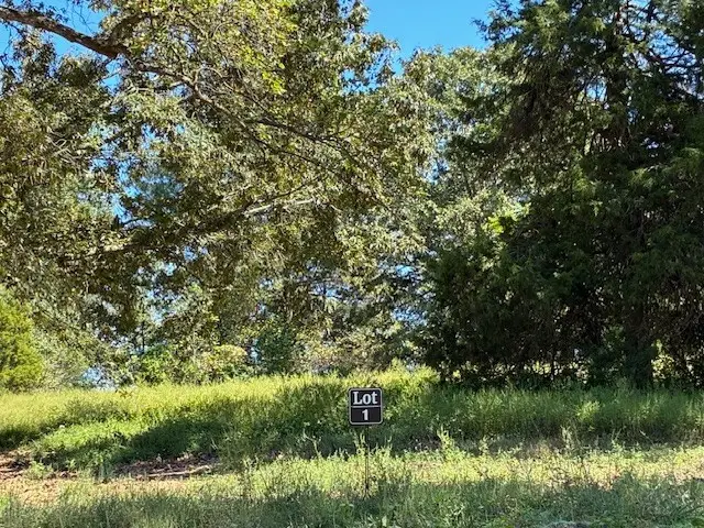 3200 Hunziker Lane, Fairview, TN 37062 - Image #1