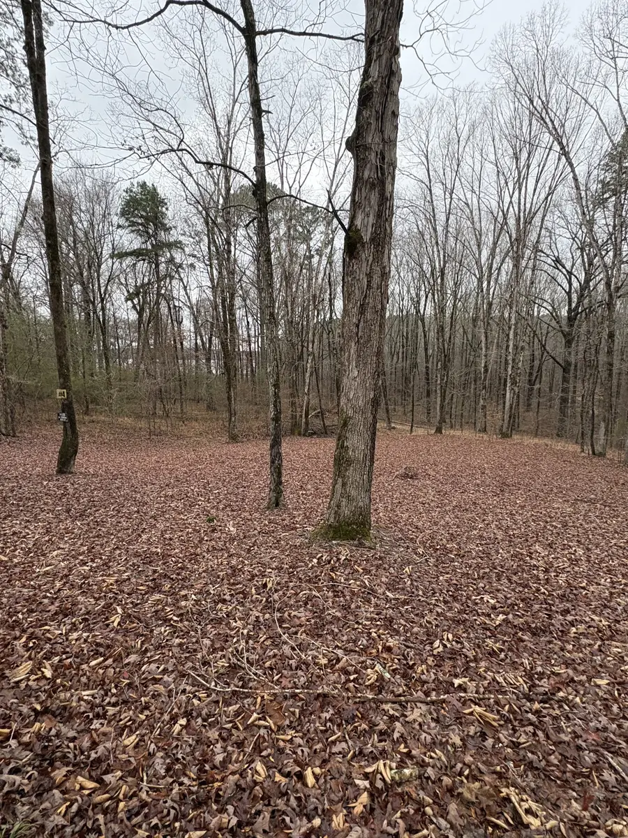 2160 Bruton Branch Rd, Savannah, TN 38372 - Image #3