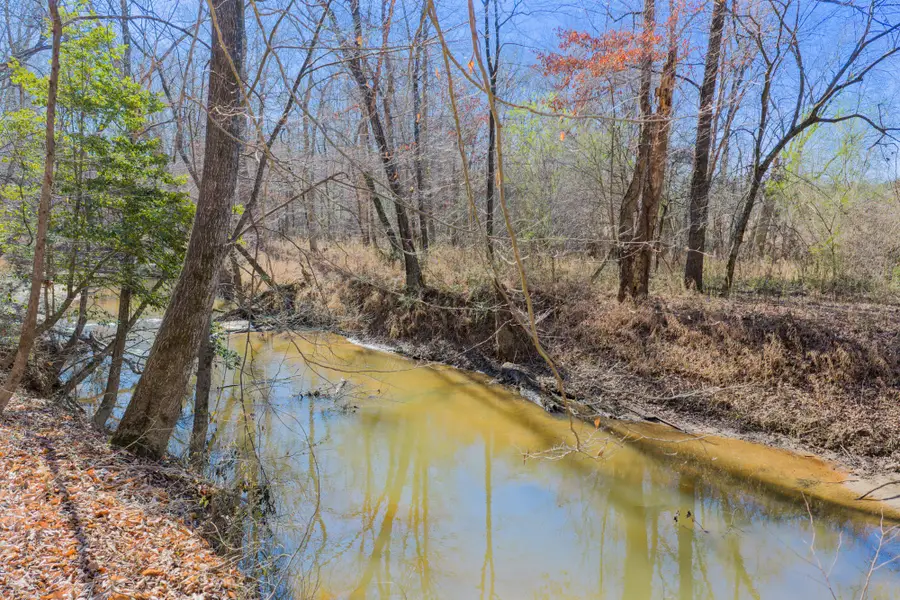 261 Edwards Ln, Pocahontas, TN 38061 - #2