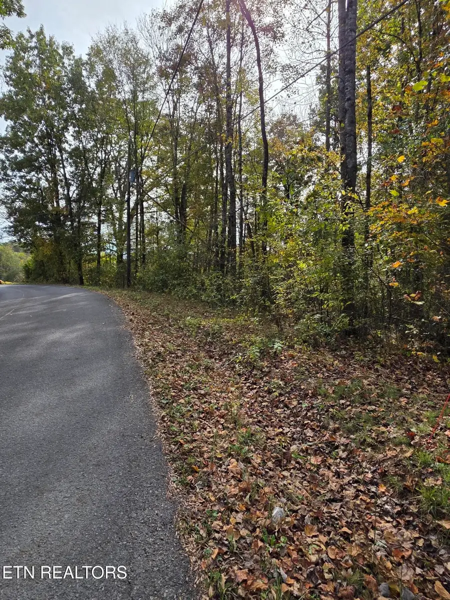 2310 Roseberry Rd, Mascot, TN 37806 - #2