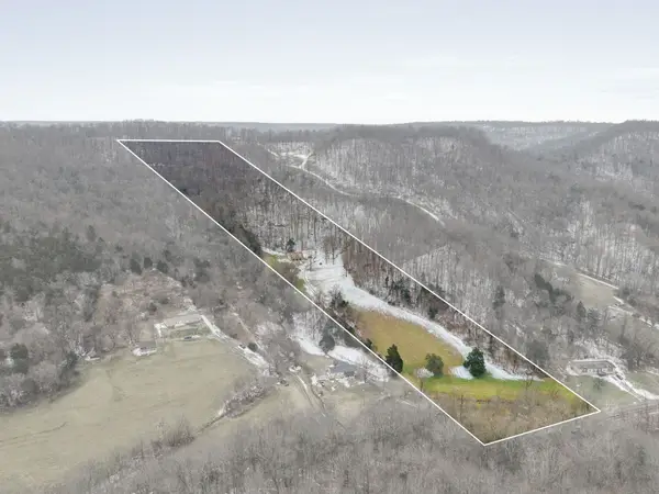 7401 Burks Hollow Rd, Christiana, TN 37037