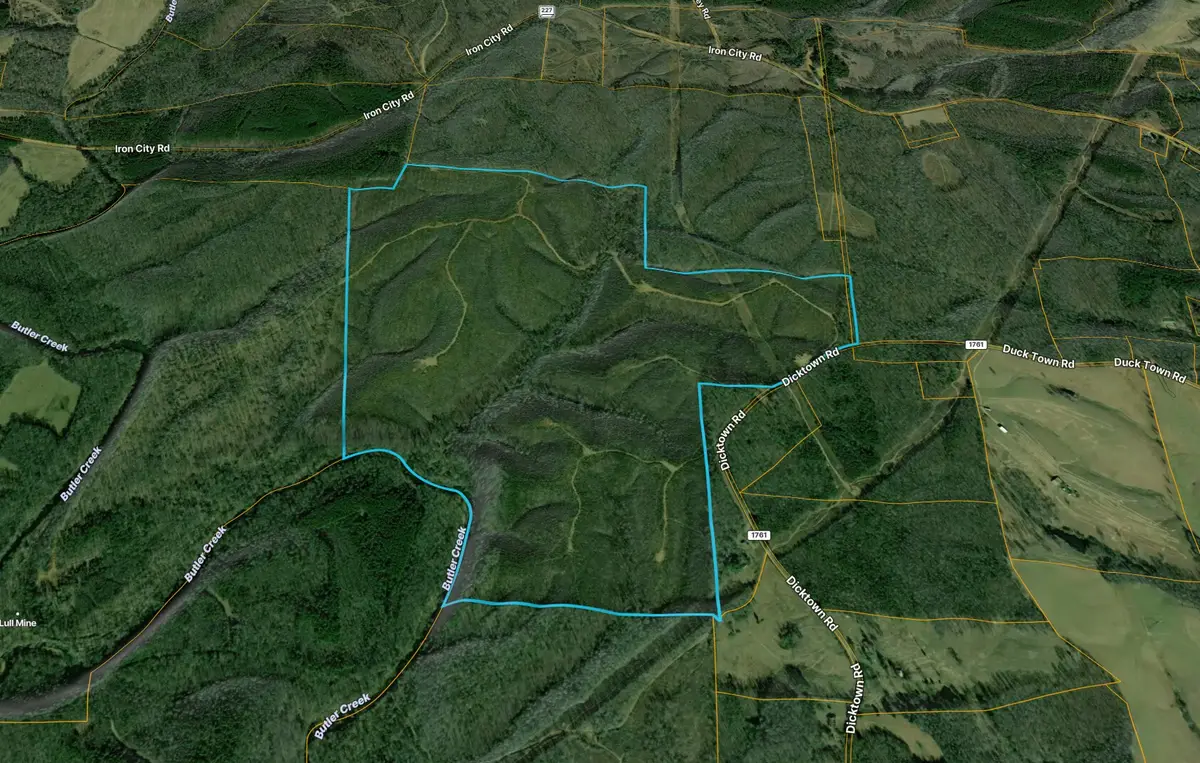 0 State Line Road, Iron City, TN 38463 - Image #1