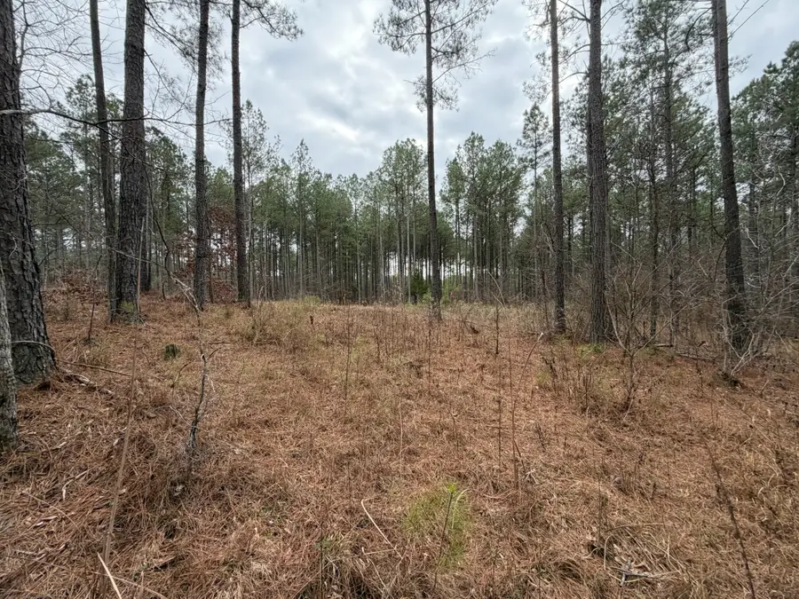 1B Bartlett Rd, Reagan, TN 38368 - Image #2