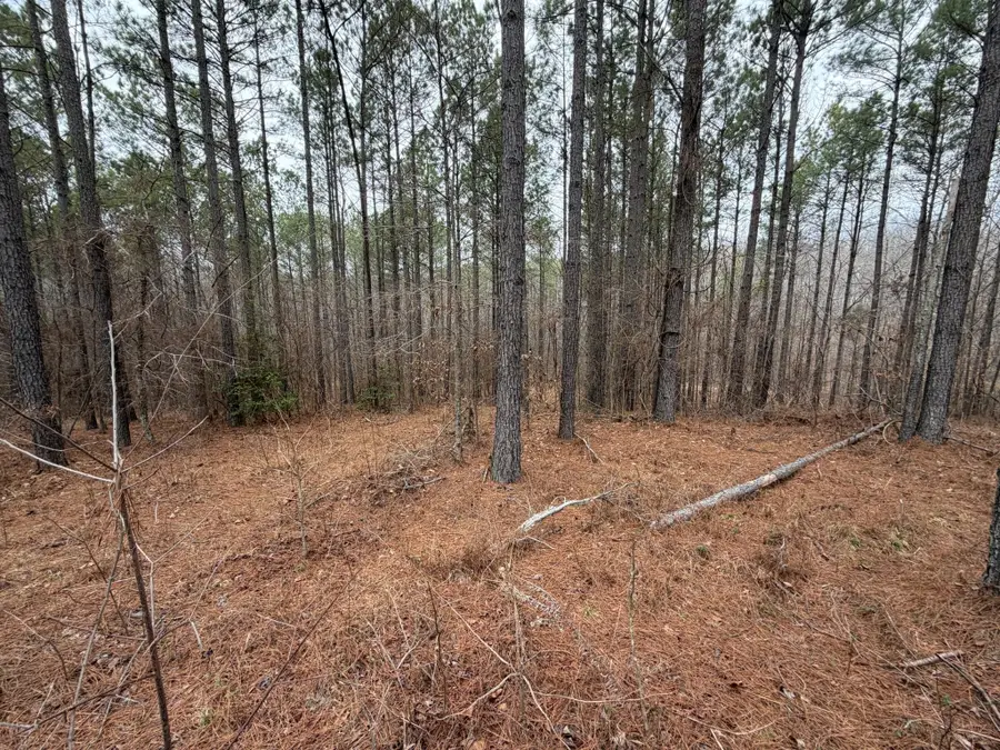 1B Bartlett Rd, Reagan, TN 38368 - Image #3