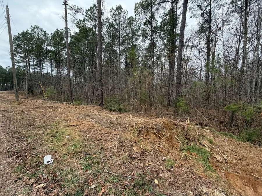 1A Bartlett Rd, Reagan, TN 38368 - Image #2