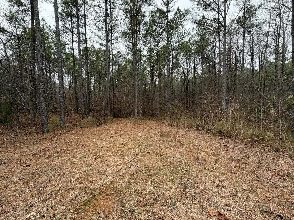 4 Bartlett Rd, Reagan, TN 38368 - Image #1