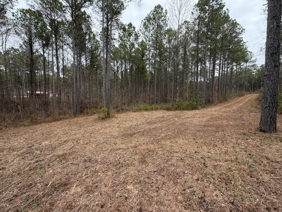 4 Bartlett Rd, Reagan, TN 38368 - Image #3