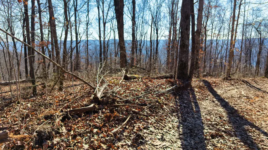 0 Dykes Mtn, Beersheba Springs, TN 37305 - #2