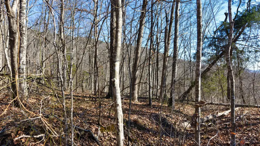 0 Dykes Mtn, Beersheba Springs, TN 37305 - #3