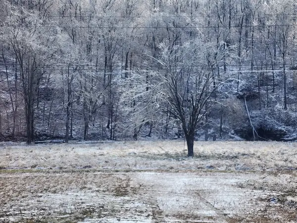 0 Savannah Hwy, Waynesboro, TN 38485