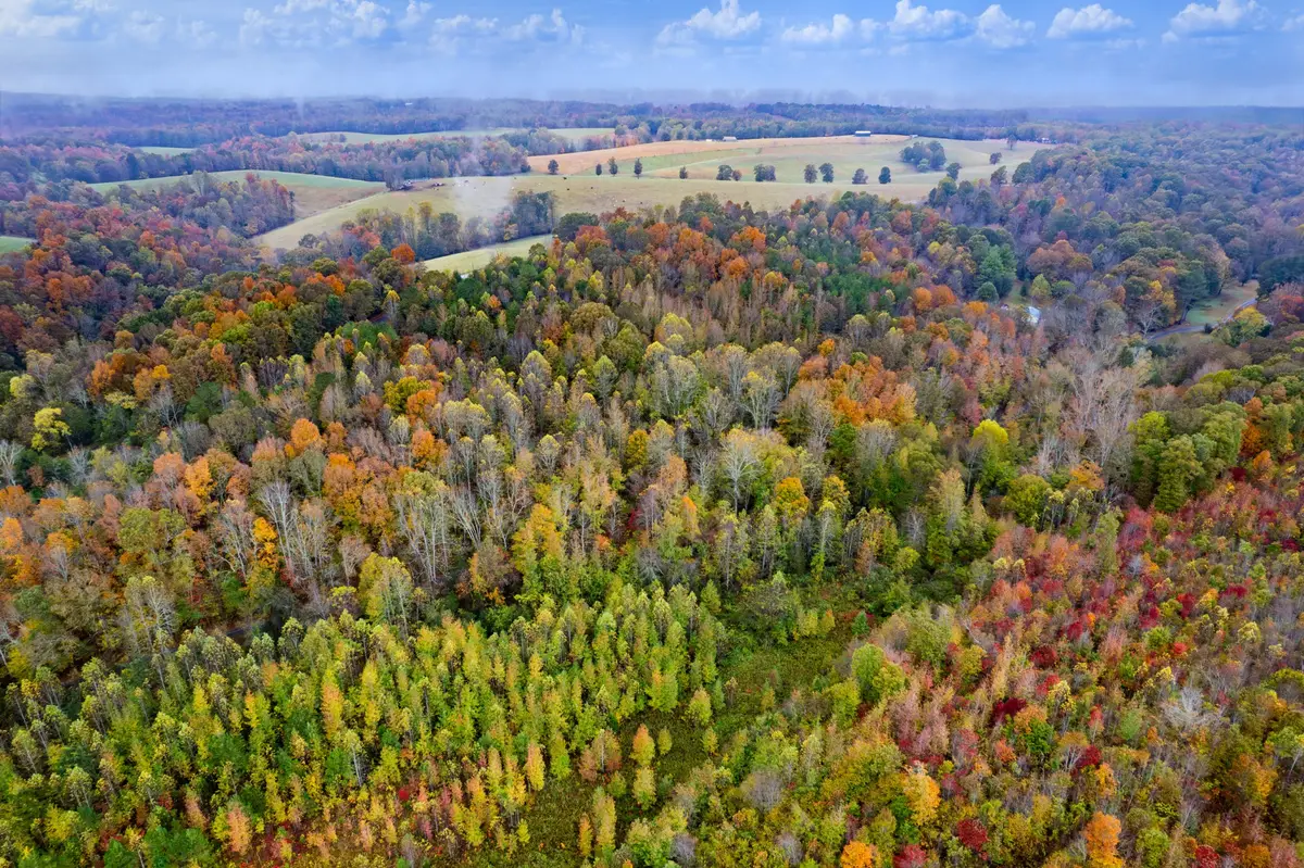 0 Ducktown Road, Iron City, TN 38463 - Image #1