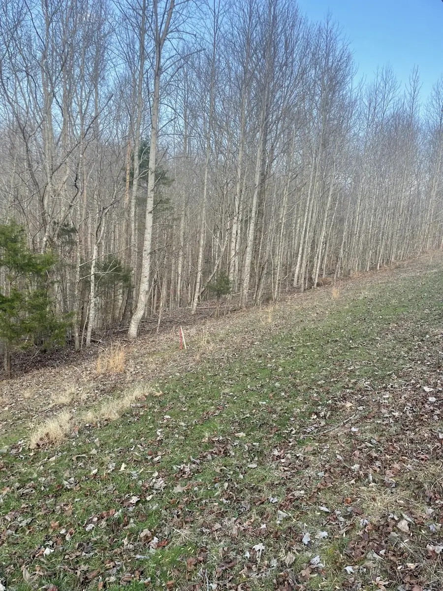 0 Sugar Tree Knob Rd, Liberty, TN 37095 - #3