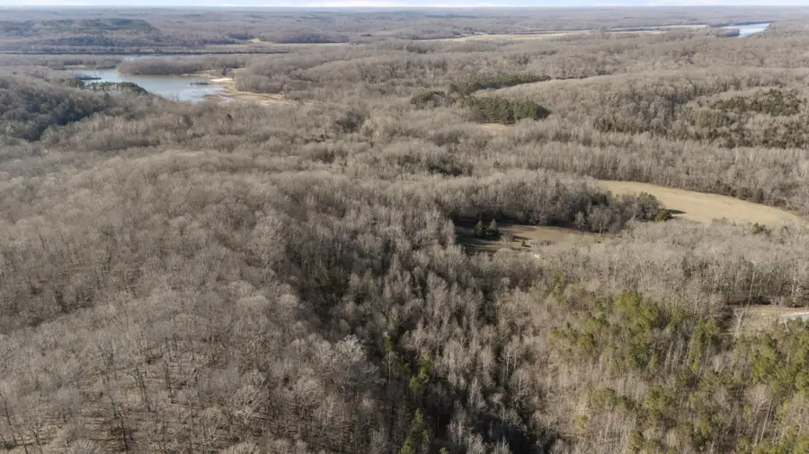 17177 Highway 438 W, Linden, TN 37096 - Image #3