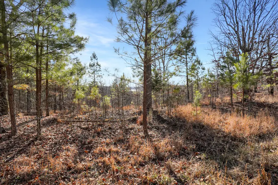 61 Shores Trail, Stewart, TN 37175 - Image #3