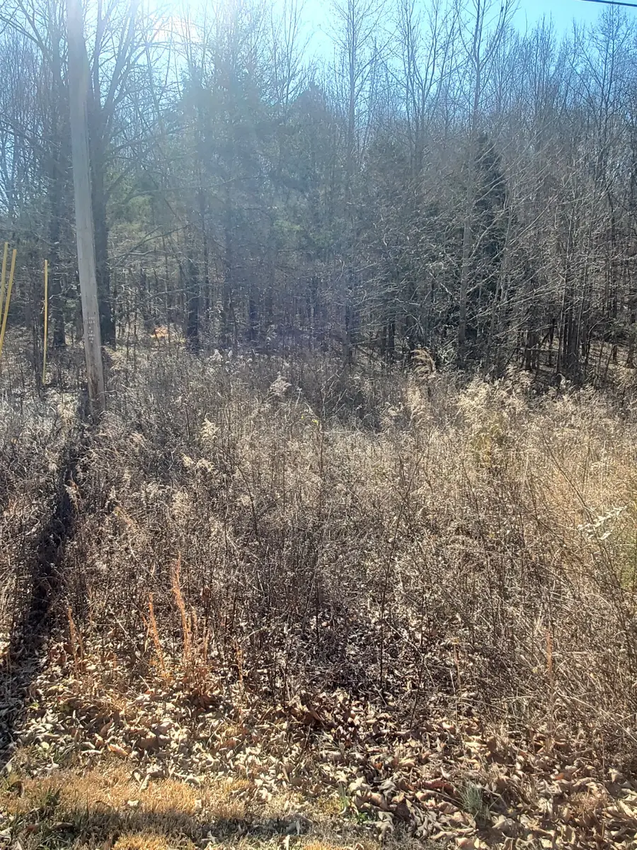 0 Summer Breeze Dr, Smithville, TN 37166 - Image #2