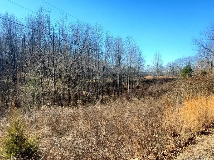 0 Summer Breeze Dr, Smithville, TN 37166 - Image #3