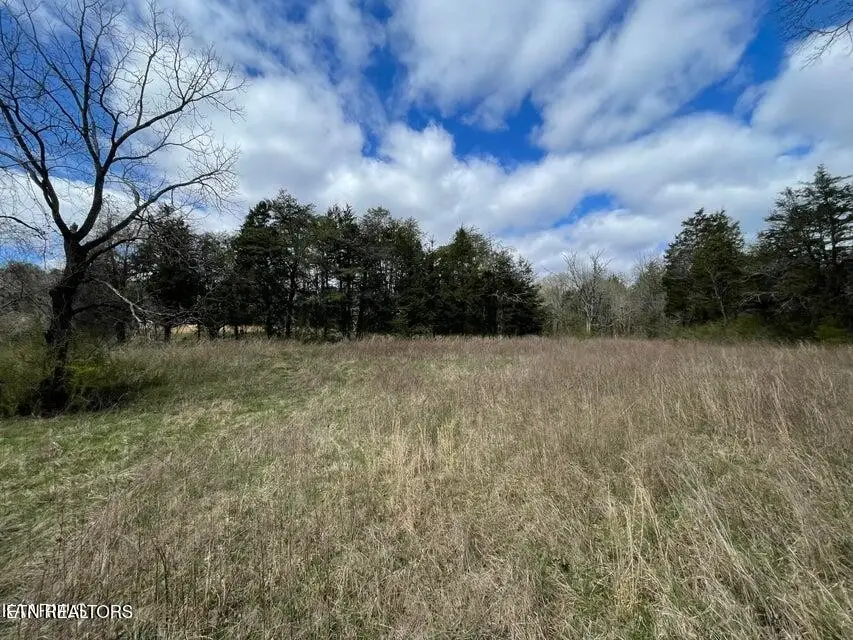 3908 E Raccoon Valley Drive, Powell, TN 37849 - Image #2