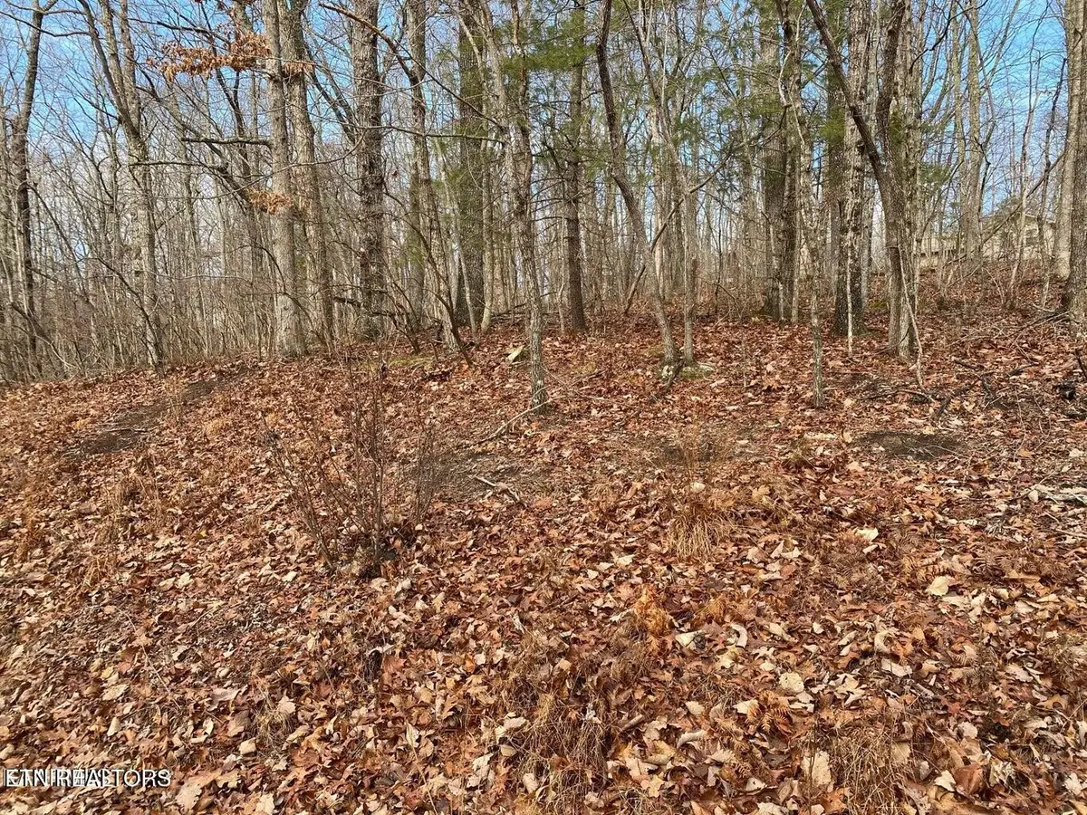 116 Overlook Cove, Crossville, TN 38558 - #1
