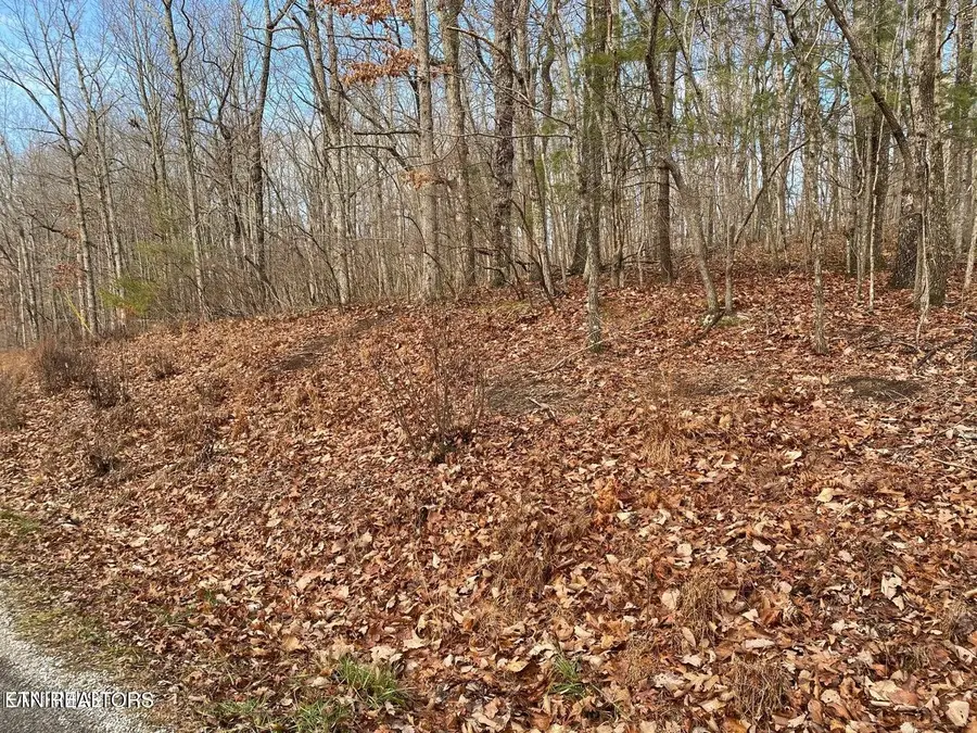 116 Overlook Cove, Crossville, TN 38558 - #2