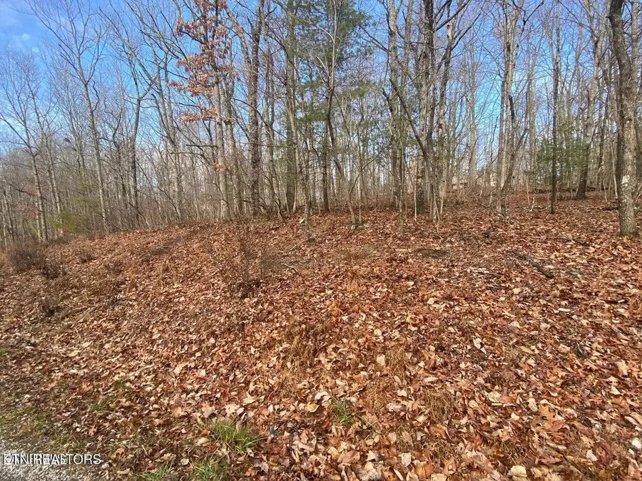 116 Overlook Cove, Crossville, TN 38558 - #3
