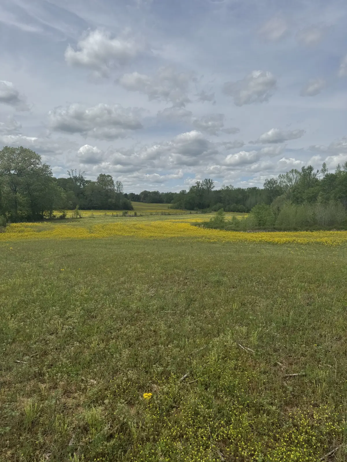 0 Taylor Cemetery Rd, Buena Vista, TN 38318 - Image #1