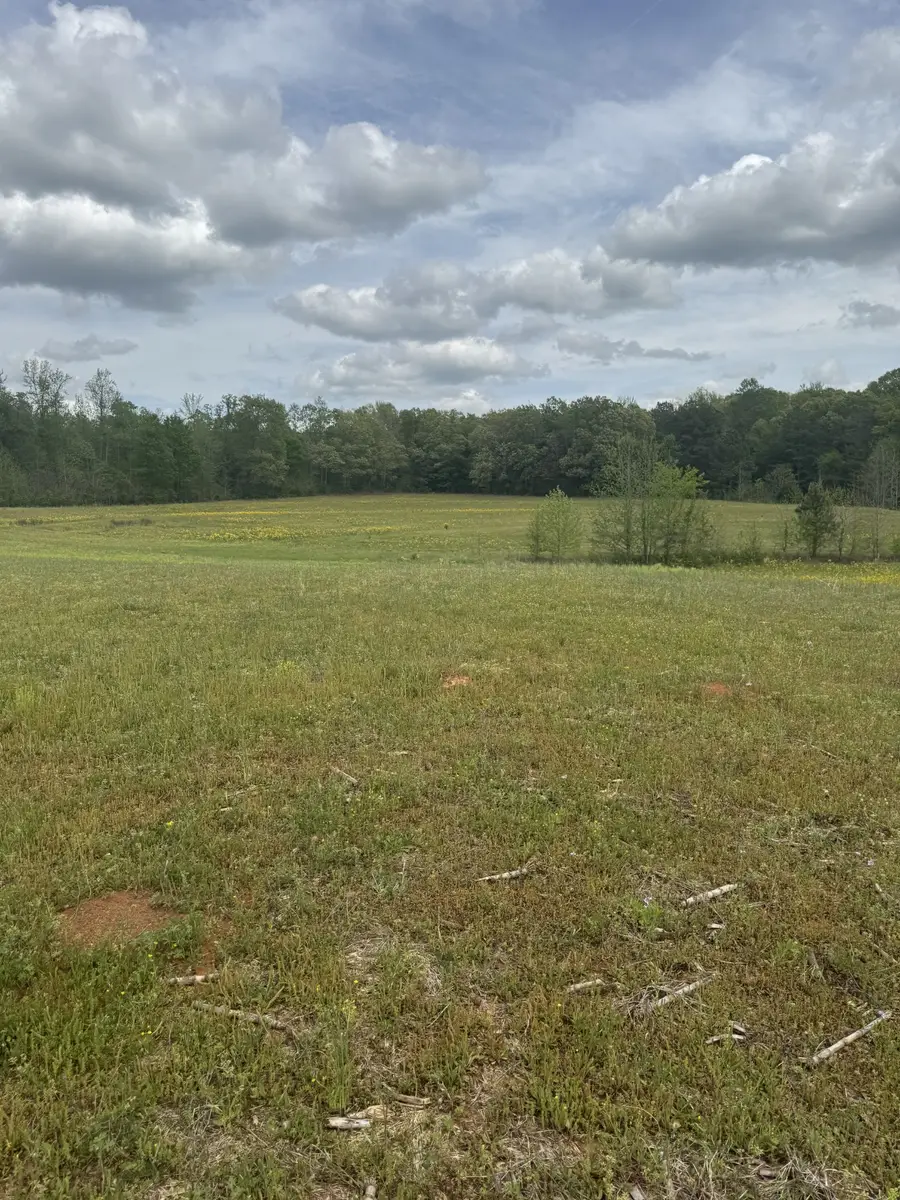 0 Taylor Cemetery Rd, Buena Vista, TN 38318 - Image #2