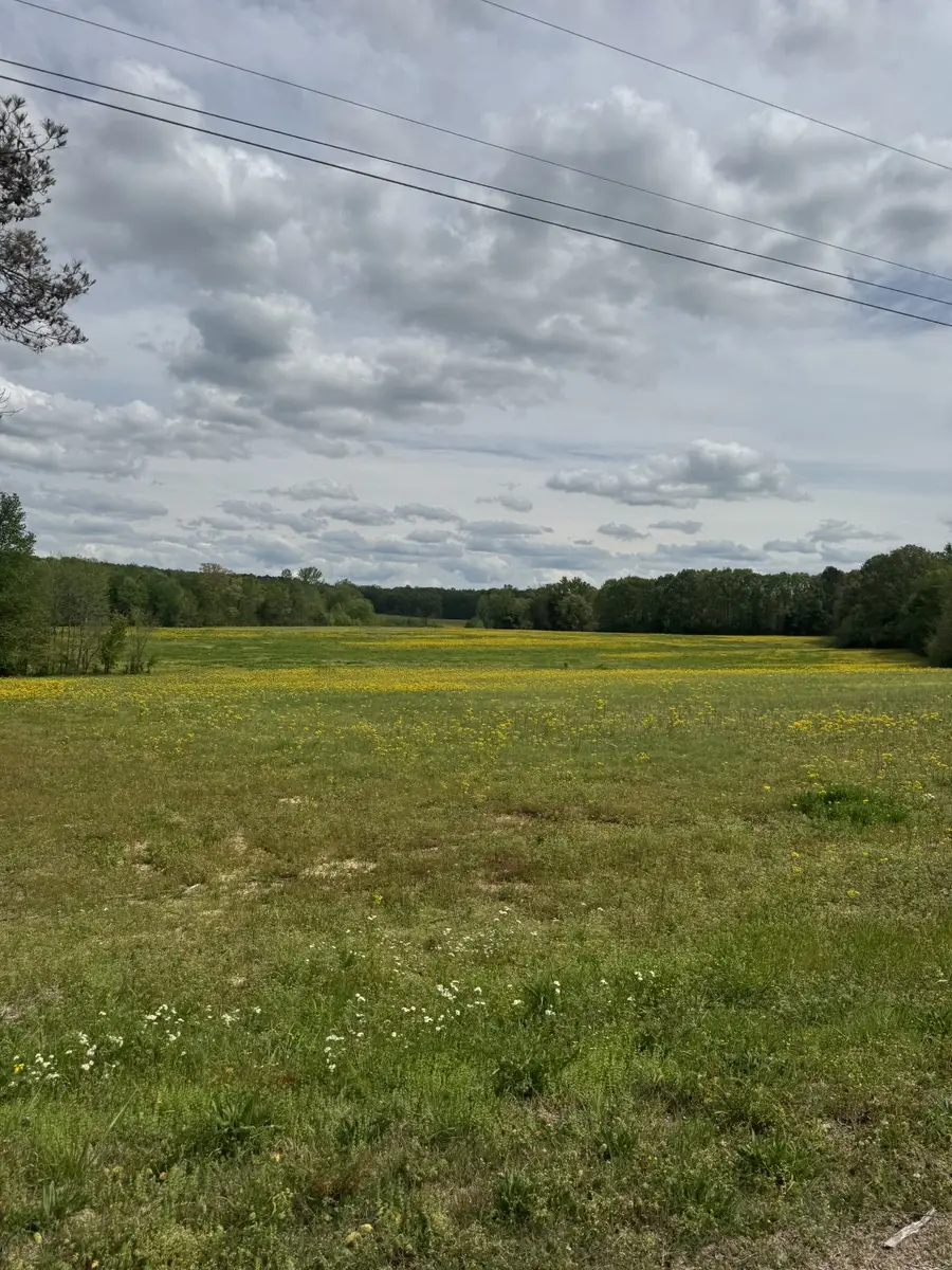 0 Taylor Cemetery Rd, Buena Vista, TN 38318 - Image #3