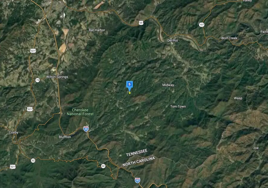 2450 Long Branch Rd, Del Rio, TN 37727 - #3