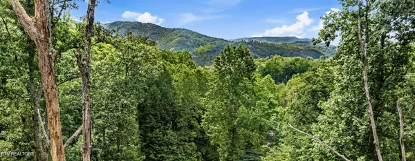 1119 E Kings Ridge Rd, Gatlinburg, TN 37738