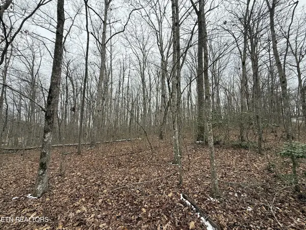 0 White Oak Rd, Monterey, TN 38574