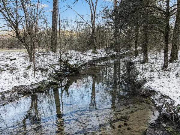 44 Opossum Hollow Rd, Gordonsville, TN 38563