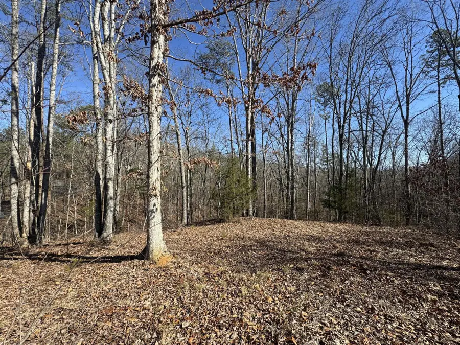 0 Fox Trail Drive, Old Fort, TN 37362 - #2