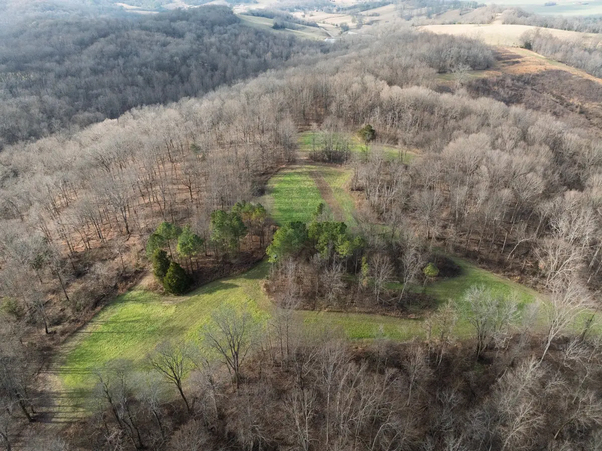 680 Morrell Road, Pulaski, TN 38478 - #1