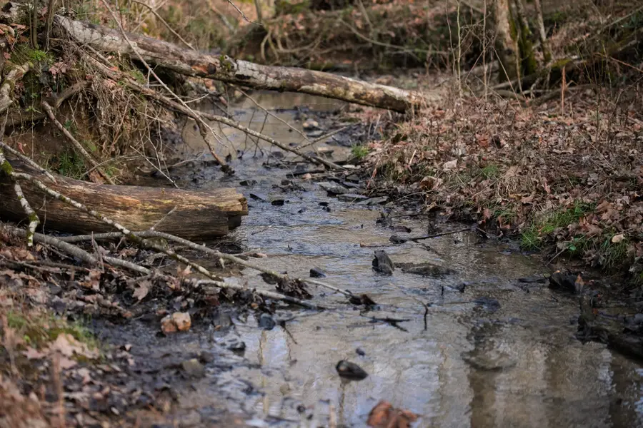 680 Morrell Road, Pulaski, TN 38478 - #3