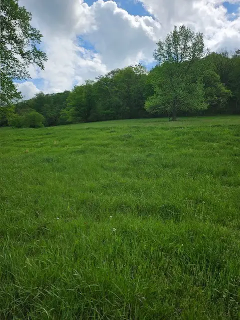 263 Club Springs Rd, Elmwood, TN 38560 - Image #2