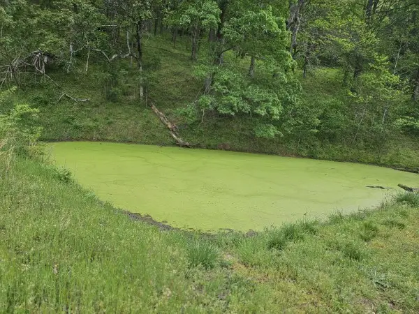 263 Club Springs Rd, Elmwood, TN 38560 - Image #3